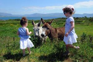 the Wild Atlantic Way