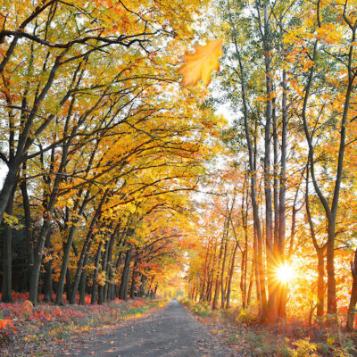 Autumn - Hidden Ireland Hidden Ireland Accommodation Bed and Breakfast Cottage Rental