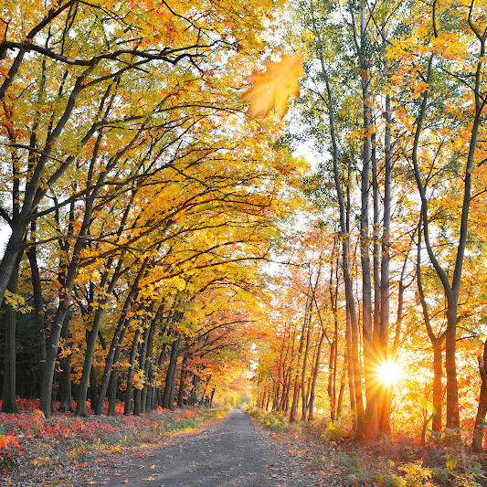 Autumn - Hidden Ireland Hidden Ireland Accommodation Bed and Breakfast Cottage Rental